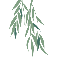 willow tree element