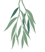 willow tree element