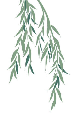 Willow tree element