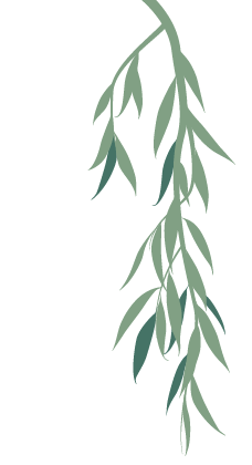 willow tree element