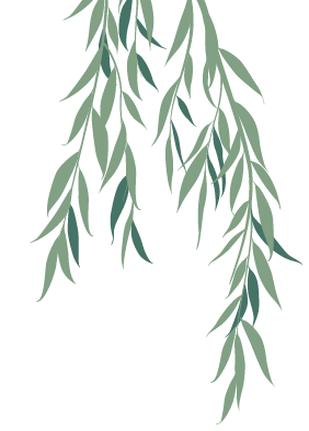 Willow Tree element